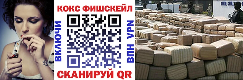 КОКАИН Fish Scale  Купить где  Кинешма 