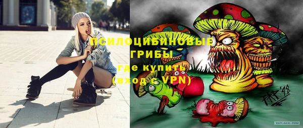 хмурый Краснослободск