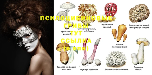 хмурый Краснослободск
