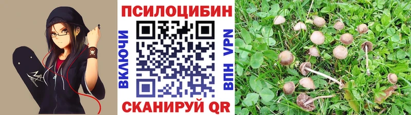 Купить где  Кинешма  Галлюциногенные грибы ЛСД 