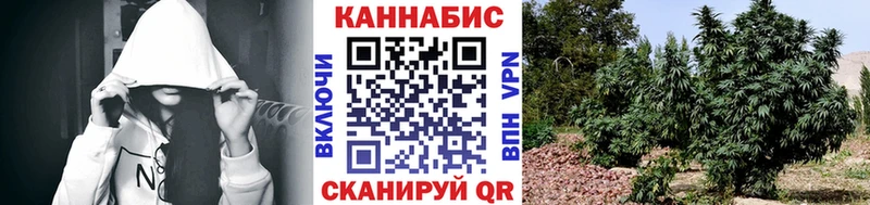 Купить закладки  Кинешма  Бошки марихуана гибрид 
